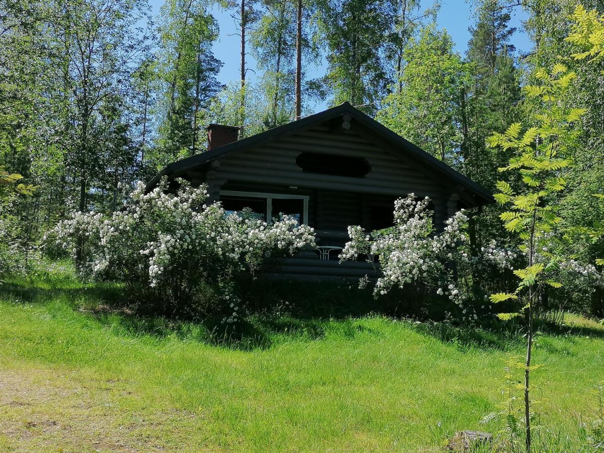 Mansikkaniemen Lomakeskus Ра́нтасалми